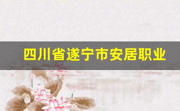 四川省遂宁市安居职业高级中学校2024年录取分数(遂宁安居职中怎么样)