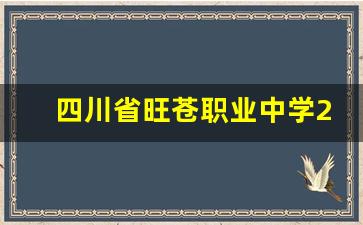 四川省旺苍职业中学2024年录取分数(旺苍职业中学选址到哪里)