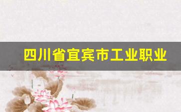 四川省宜宾市工业职业技术学校2024年录取分数(宜宾市工业职业技术学校招收条件)