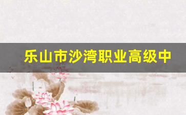 乐山市沙湾职业高级中学2024年录取分数(乐山市沙湾区职业高级中学)