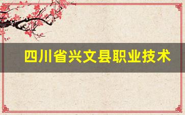 四川省兴文县职业技术学校2024年录取分数(兴县职业中学)