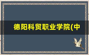 德阳科贸职业学院(中职部)2024年录取分数(德阳科贸职业学院校园网)