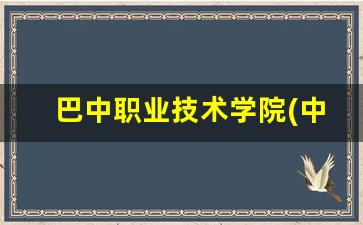 巴中职业技术学院(中职部)2024年录取分数(巴中职业技术学院官网入口)