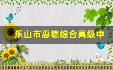 乐山市惠德综合高级中学2024年录取分数(乐山市惠德综合高级中学2024年录取分数线是多少)