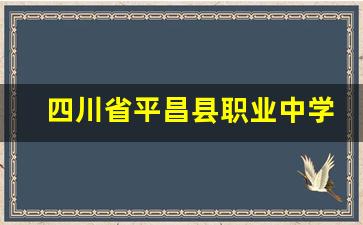 四川省平昌县职业中学2024年录取分数(四川省平昌县职业中学电话)