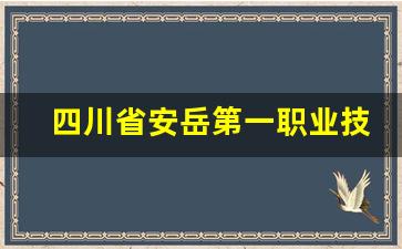四川省安岳第一职业技术学校2024年录取分数(四川安岳第一职教学校)