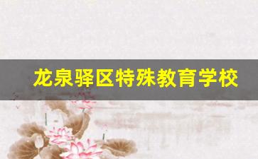 龙泉驿区特殊教育学校2024年录取分数(龙泉驿区艺体特色高中)