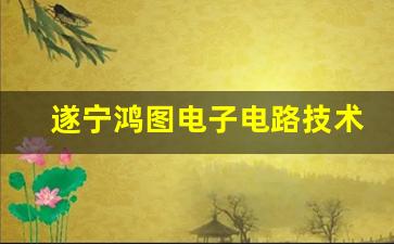 遂宁鸿图电子电路技术职豆学校2024年录取分数(遂宁鸿图电子电路职业学校怎么样)