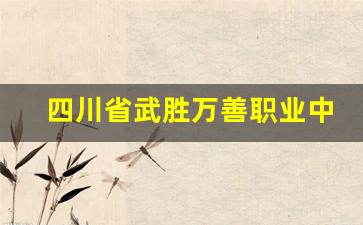 四川省武胜万善职业中学校2024年录取分数(四川省武胜万善职业中学怎么样)