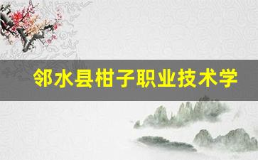 邻水县柑子职业技术学校2024年录取分数(邻水县柑子镇中学)