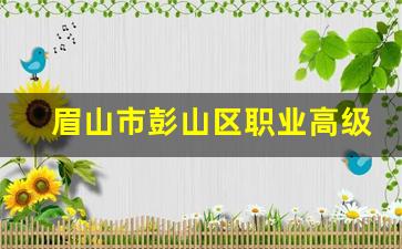 眉山市彭山区职业高级中学2024年录取分数(彭山有哪些职业中学)