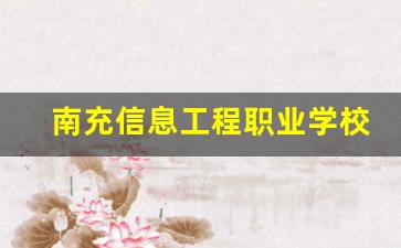 南充信息工程职业学校2024年录取分数(南充职业技术学院电子信息工程系)