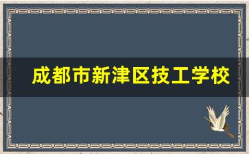 成都市新津区技工学校2024年录取分数(成都市新津区技工学校2024年录取分数线是多少)