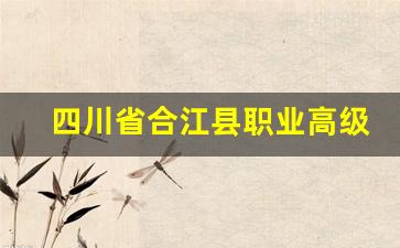 四川省合江县职业高级中学校2024年录取分数(合江县职业技术学校)