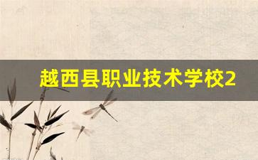 越西县职业技术学校2024年录取分数(越西县2021年中考录取分数线)