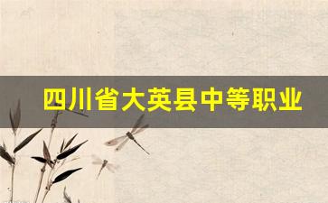 四川省大英县中等职业技术学校2024年录取分数(大英中职校官网)