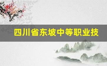 四川省东坡中等职业技术学校2024年录取分数(东坡区职业学校)