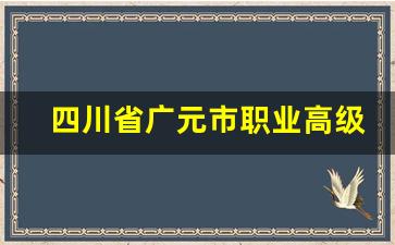 四川省广元市职业高级中学校2024年录取分数(四川省广元市职业高级中学校怎么样)