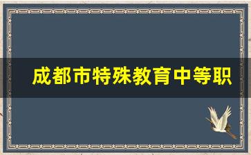 成都市特殊教育中等职业技术学校2024年录取分数(成都市特殊学校学费多少)