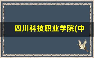 四川科技职业学院(中职部)2024年录取分数(四川科技职业学院什么时候录取)