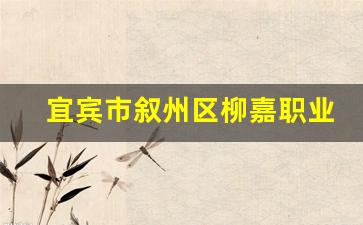 宜宾市叙州区柳嘉职业技术学校2024年录取分数(宜宾市柳嘉镇职业学校)