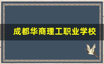 成都华商理工职业学校2024年录取分数
