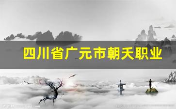四川省广元市朝夭职业中学2024年录取分数(广元市朝天中学初中部招生网)