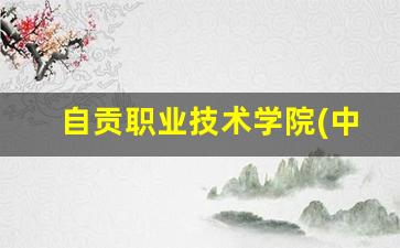自贡职业技术学院(中职部)2024年录取分数(自贡职业技术学院有哪些专业)