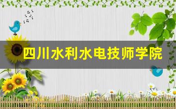 四川水利水电技师学院2024年录取分数(四川水利水电技师学院2024年录取分数是多少)
