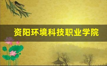 资阳环境科技职业学院(中职部)2024年录取分数(资阳环境科技职业学院)