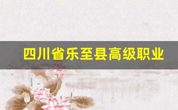 四川省乐至县高级职业中学2024年录取分数(乐至县高级职业学校)