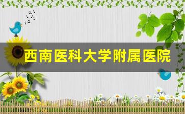 西南医科大学附属医院卫生学校2024年录取分数(西南医科大学附属医院卫校录取分数线)