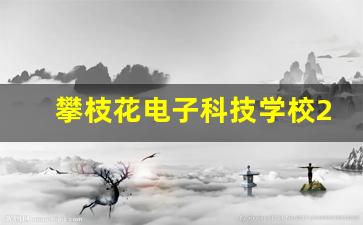 攀枝花电子科技学校2024年录取分数(攀枝花电子科技学校专业设置)