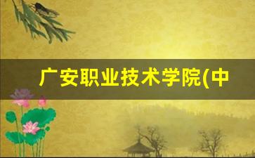 广安职业技术学院(中职部)2024年录取分数(广安职业技术学院2020年)