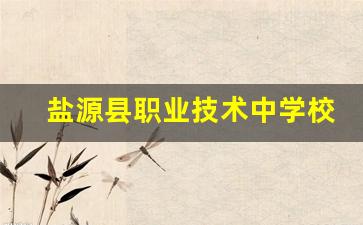 盐源县职业技术中学校2024年录取分数(盐源县职业中学的电话号码)