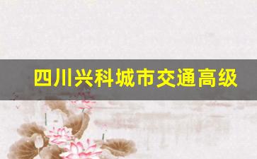 四川兴科城市交通高级技工学校2024年录取分数
