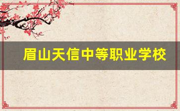 眉山天信中等职业学校是公办还是民办(眉山天府新区信息职业学院)