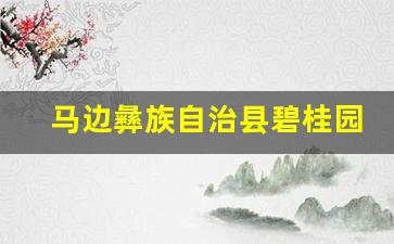 马边彝族自治县碧桂园职业中学是公办还是民办(乐山马边县碧桂园职业中学招教师14人)