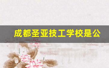 成都圣亚技工学校是公办还是民办(成都圣亚科技有限公司)